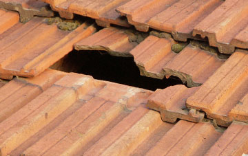 roof repair Snodhill, Herefordshire